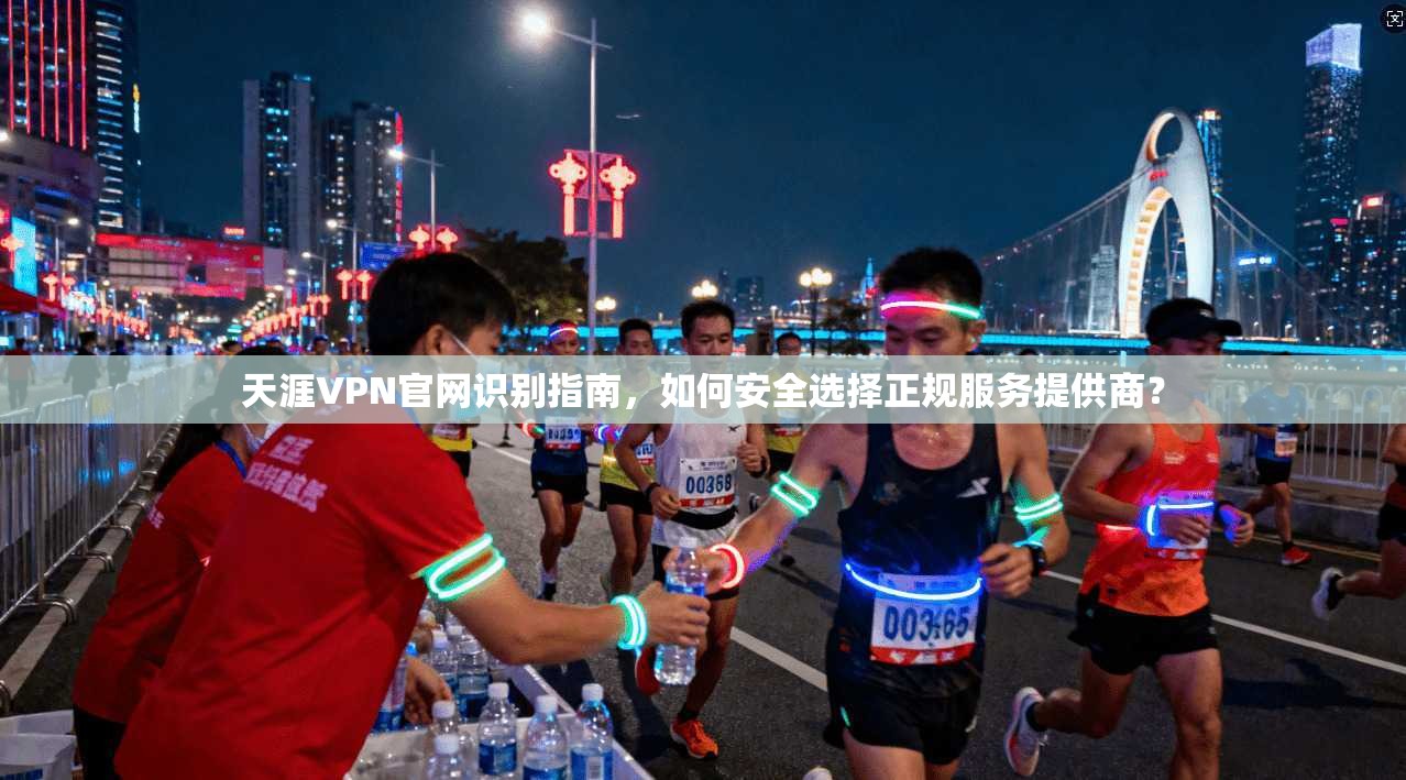 天涯VPN官网识别指南,如何安全选择正规服务提供商?
