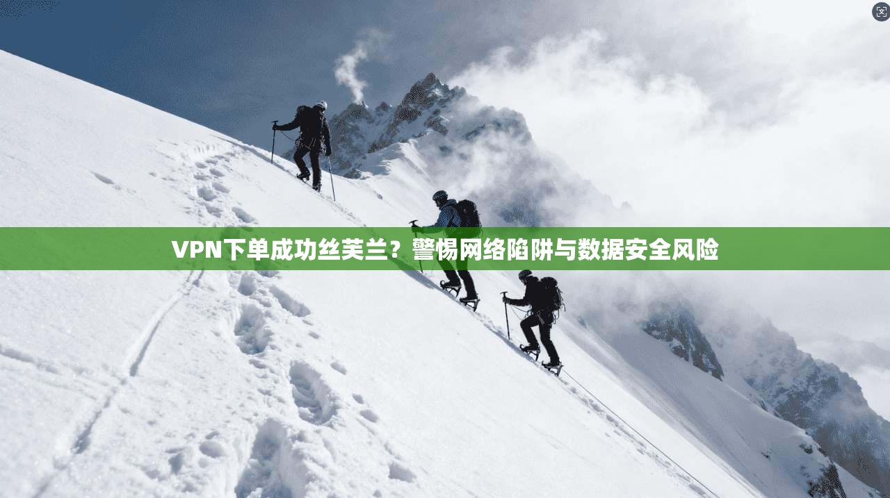 VPN下单成功丝芙兰?警惕网络陷阱与数据安全风险