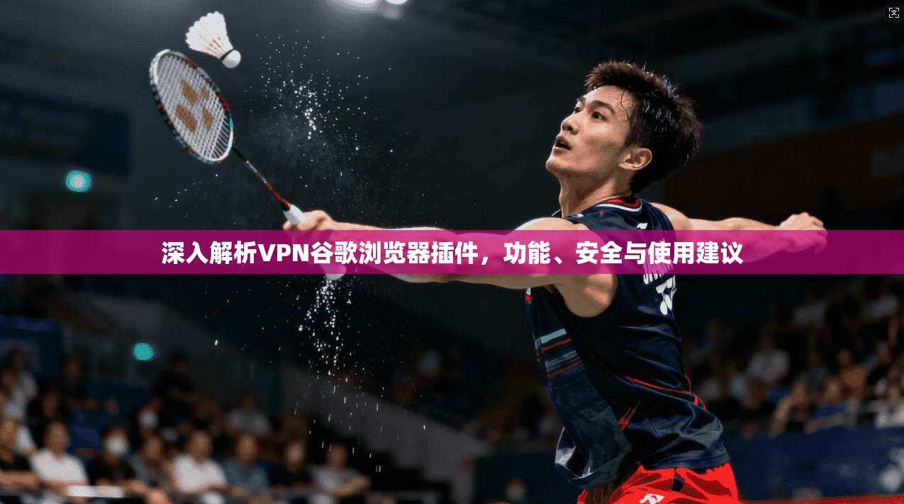 深入解析VPN谷歌浏览器插件,功能、安全与使用建议
