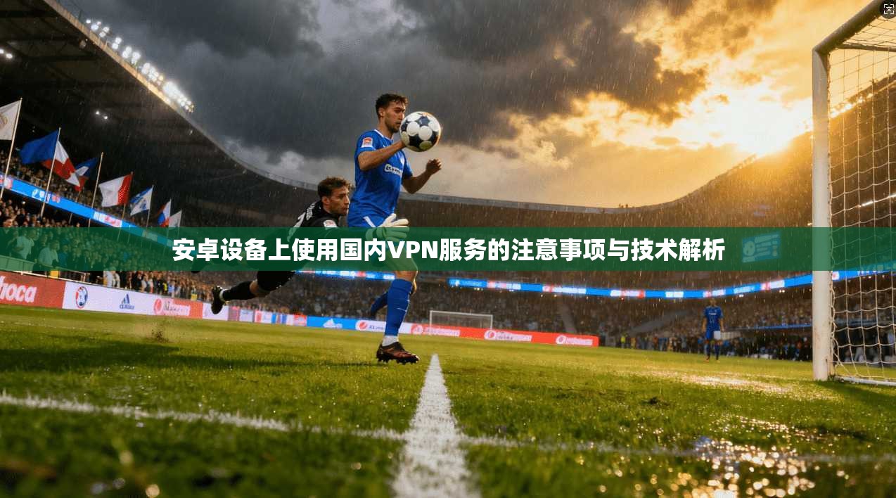 安卓设备上使用国内VPN服务的注意事项与技术解析