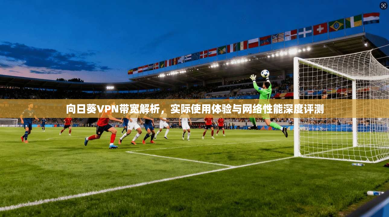 向日葵VPN带宽解析，实际使用体验与网络性能深度评测