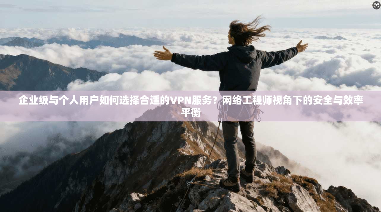 企业级与个人用户如何选择合适的VPN服务?网络工程师视角下的安全与效率平衡