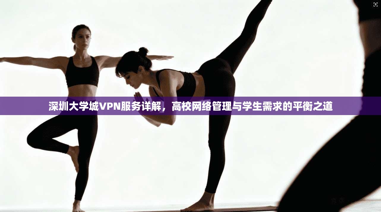 深圳大学城VPN服务详解，高校网络管理与学生需求的平衡之道