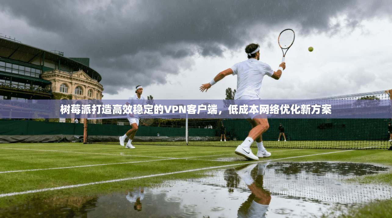 树莓派打造高效稳定的VPN客户端，低成本网络优化新方案