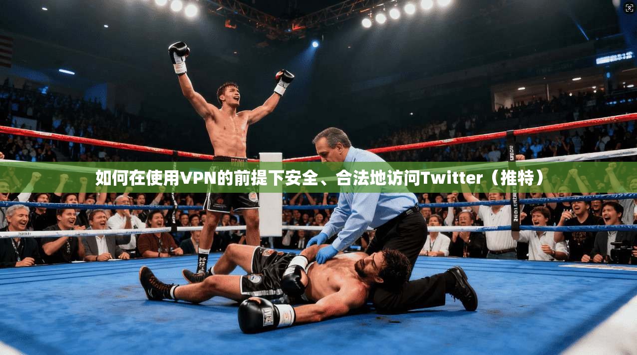 如何在使用VPN的前提下安全、合法地访问Twitter(推特)