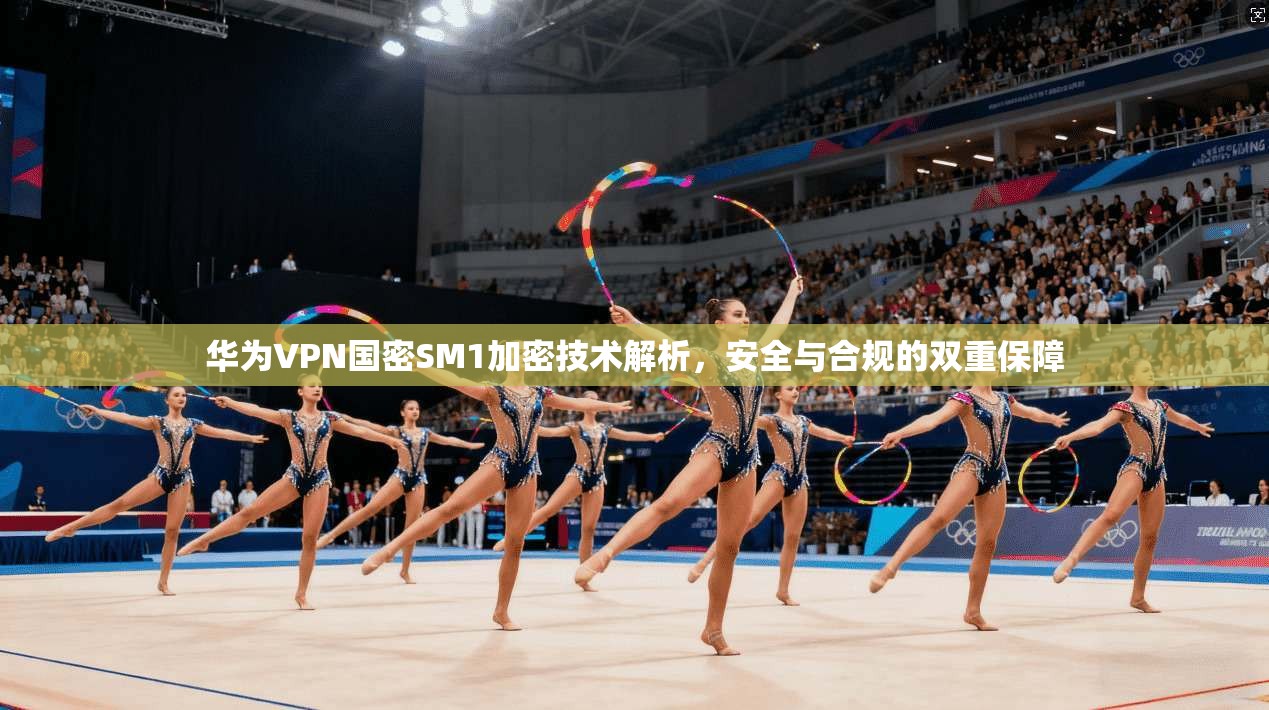 华为VPN国密SM1加密技术解析，安全与合规的双重保障