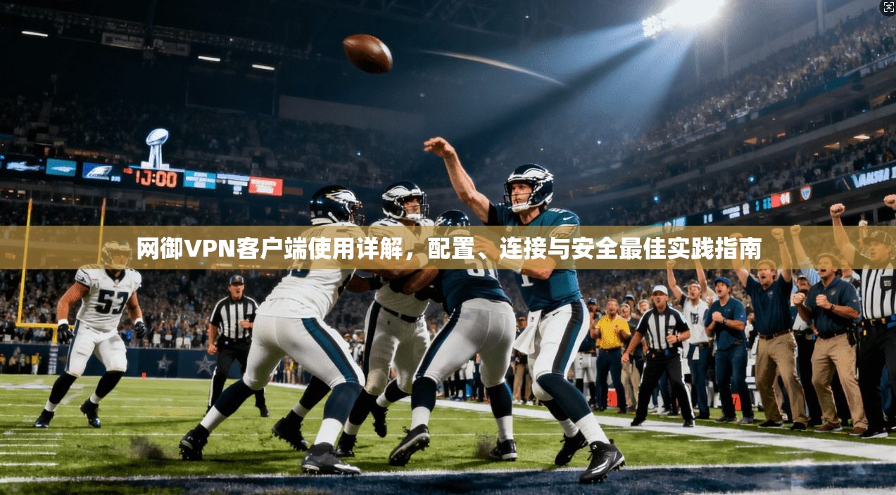 网御VPN客户端使用详解,配置、连接与安全最佳实践指南