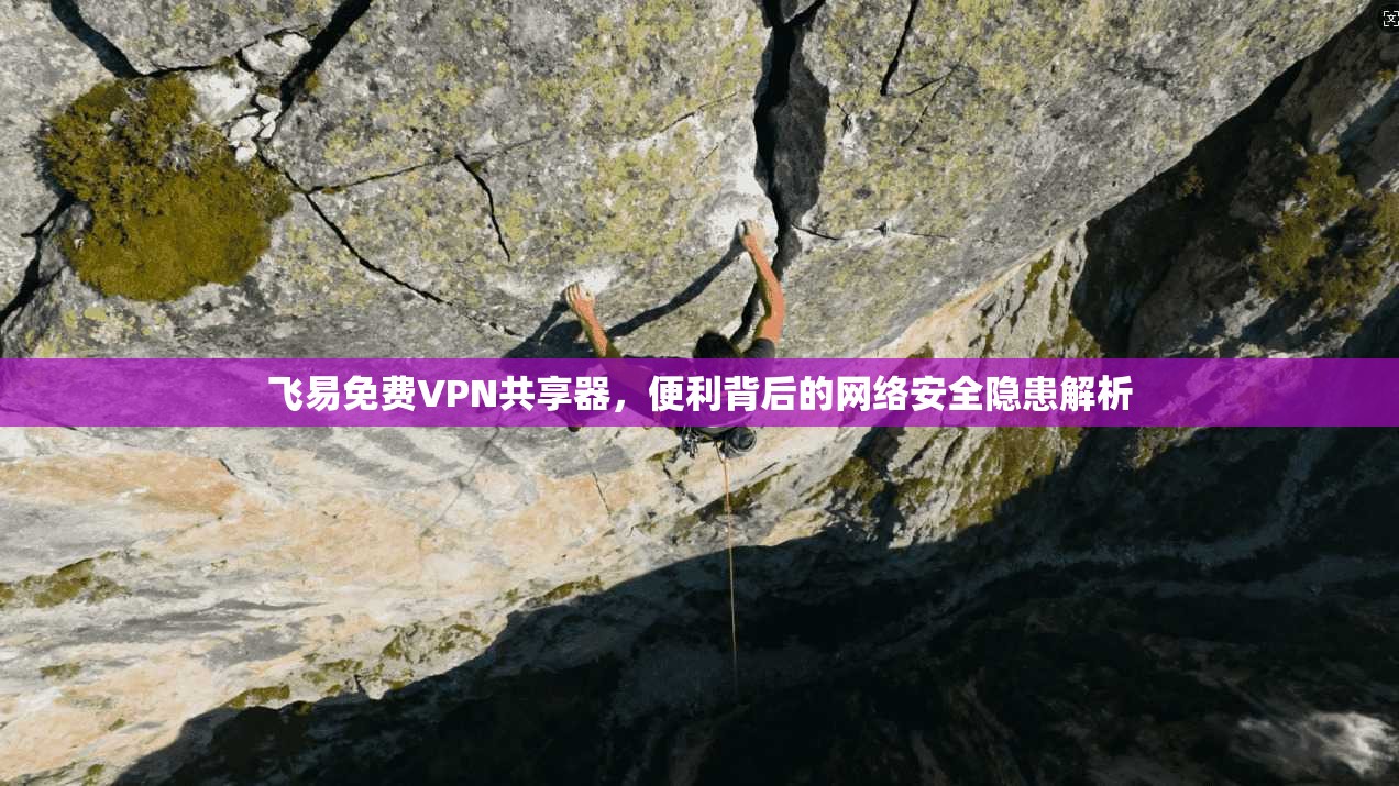 飞易免费VPN共享器，便利背后的网络安全隐患解析