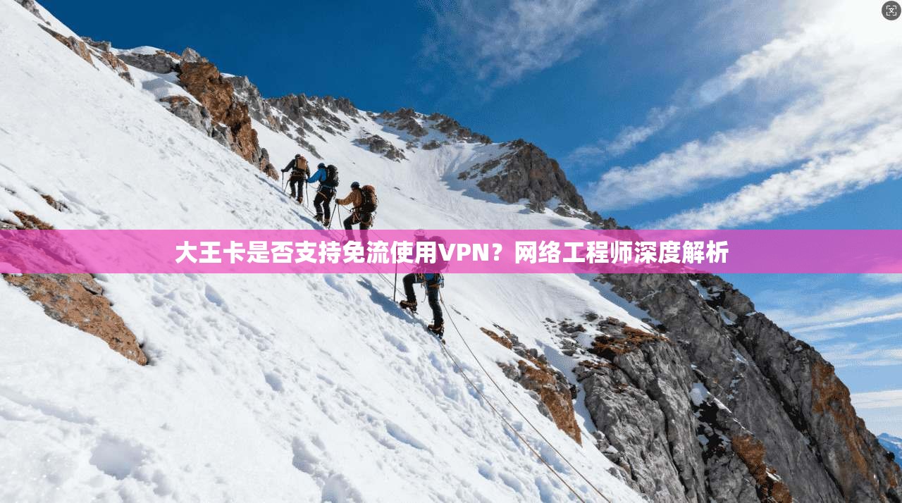 大王卡是否支持免流使用VPN？网络工程师深度解析