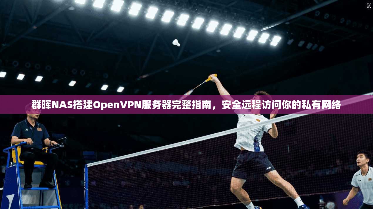 群晖NAS搭建OpenVPN服务器完整指南，安全远程访问你的私有网络