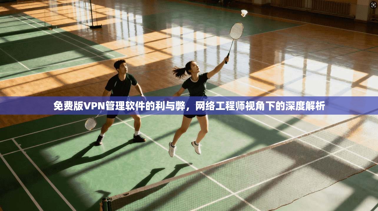 免费版VPN管理软件的利与弊,网络工程师视角下的深度解析