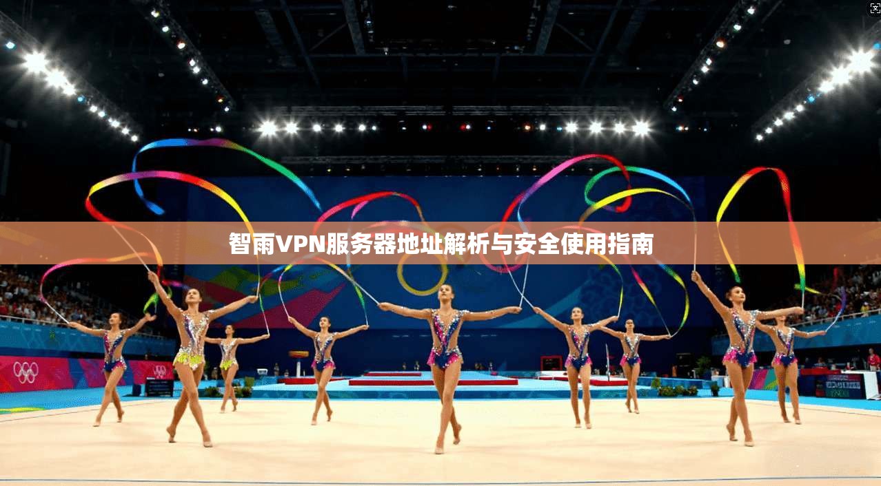 智雨VPN服务器地址解析与安全使用指南