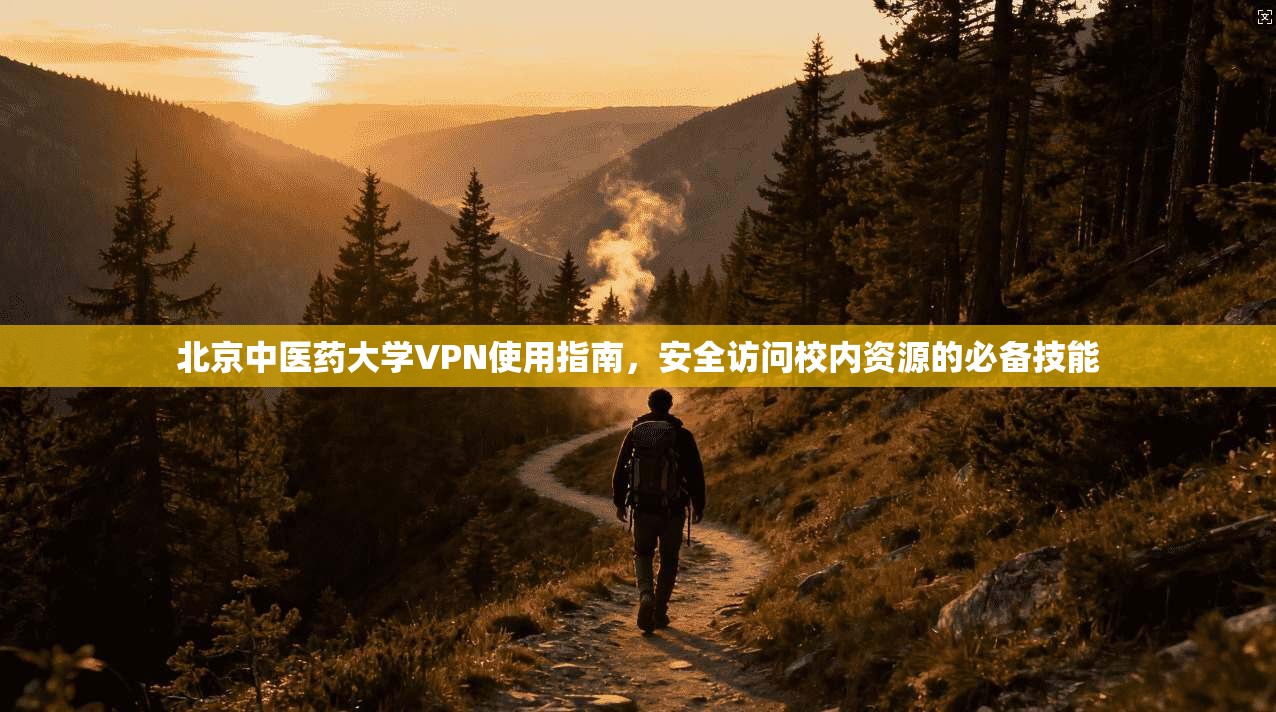 北京中医药大学VPN使用指南，安全访问校内资源的必备技能