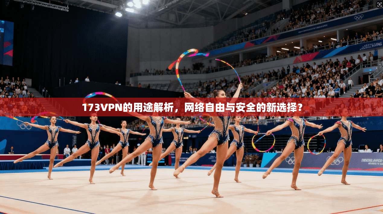 173VPN的用途解析,网络自由与安全的新选择?