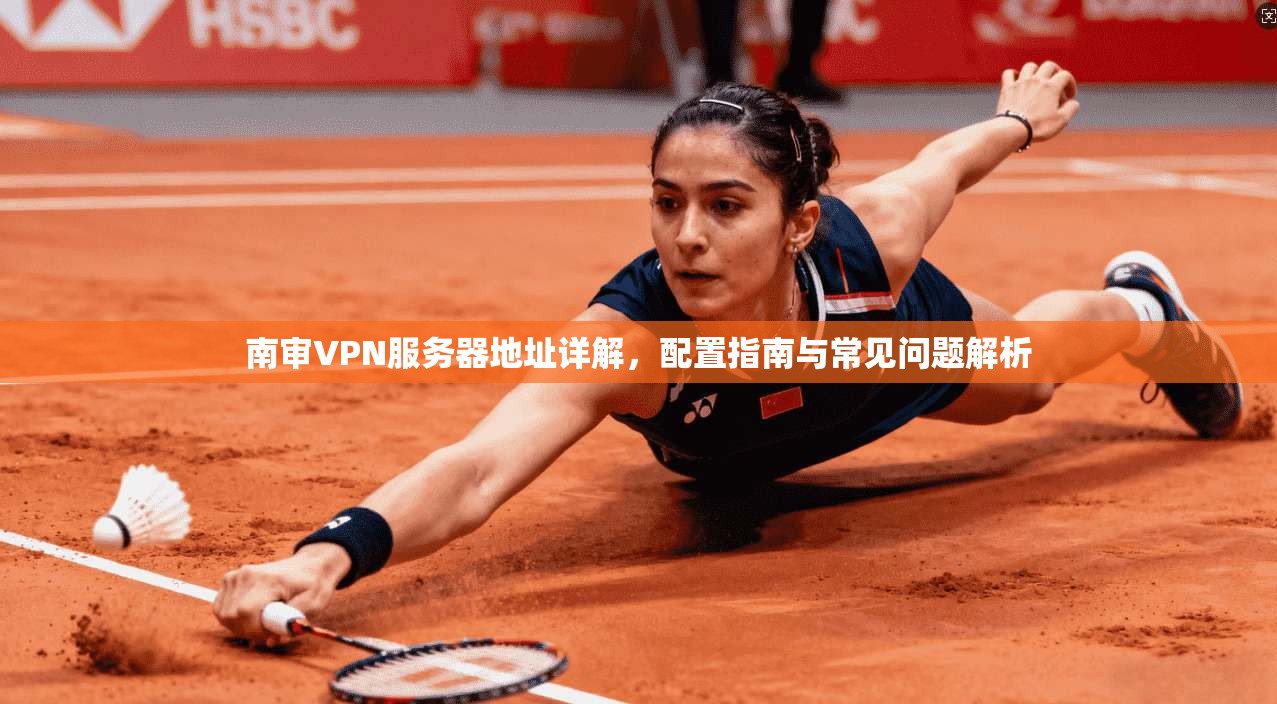 南审VPN服务器地址详解，配置指南与常见问题解析