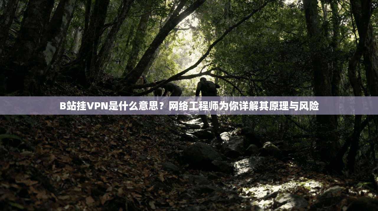 B站挂VPN是什么意思?网络工程师为你详解其原理与风险