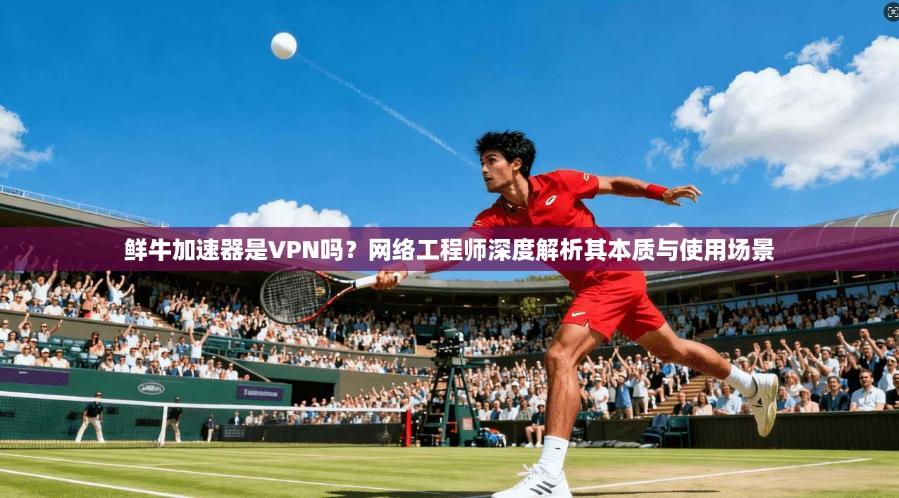 鲜牛加速器是VPN吗?网络工程师深度解析其本质与使用场景