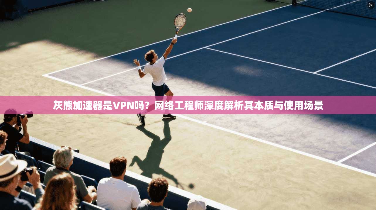 灰熊加速器是VPN吗？网络工程师深度解析其本质与使用场景