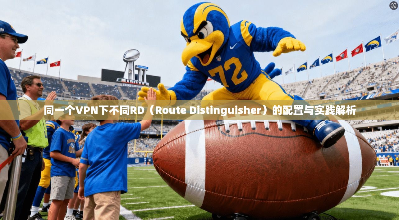 同一个VPN下不同RD（Route Distinguisher）的配置与实践解析