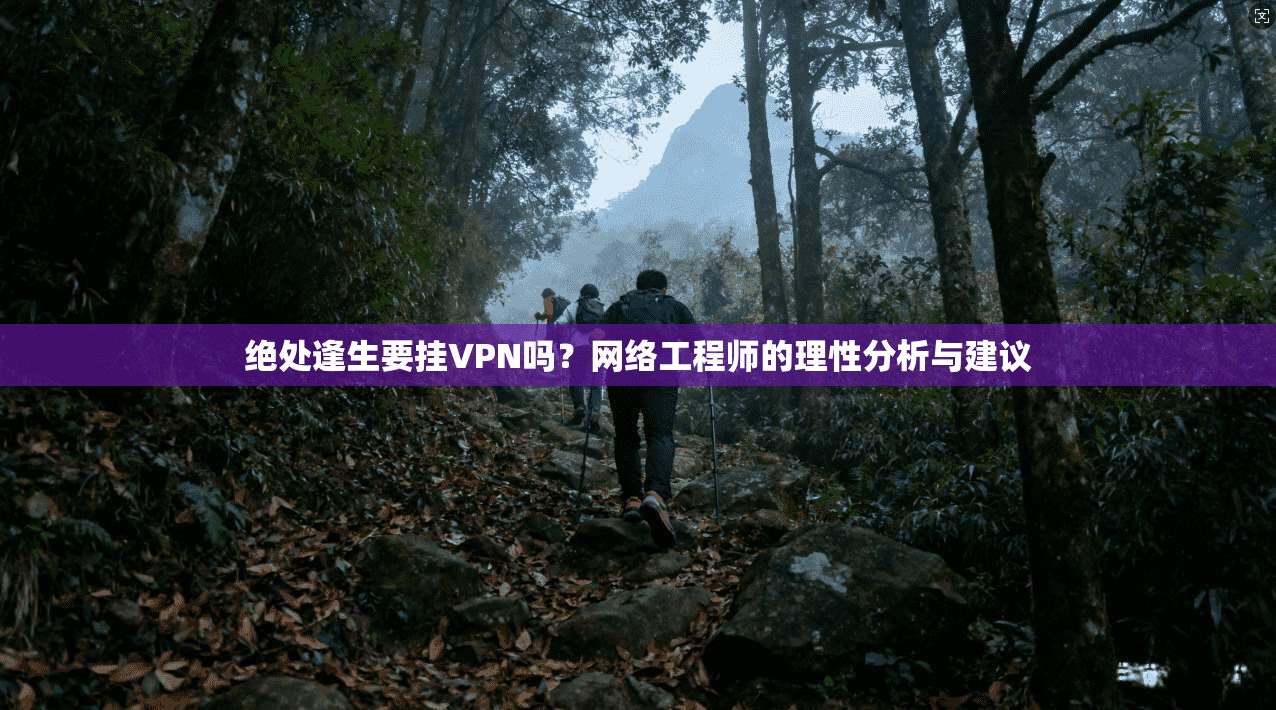 绝处逢生要挂VPN吗？网络工程师的理性分析与建议