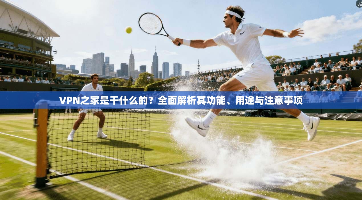 VPN之家是干什么的?全面解析其功能、用途与注意事项