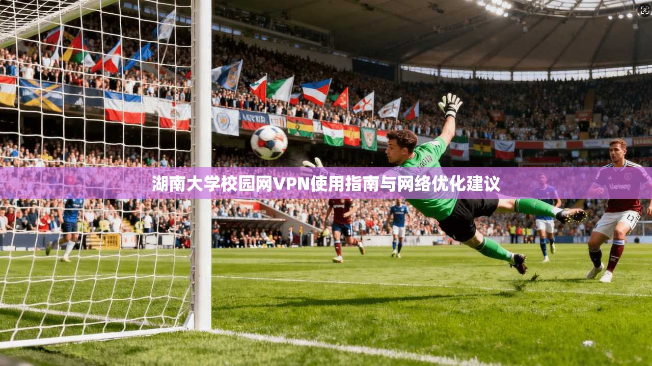 湖南大学校园网VPN使用指南与网络优化建议