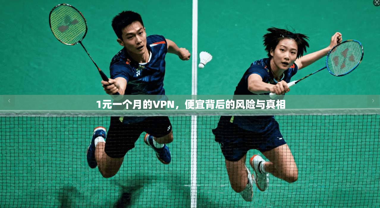 1元一个月的VPN，便宜背后的风险与真相
