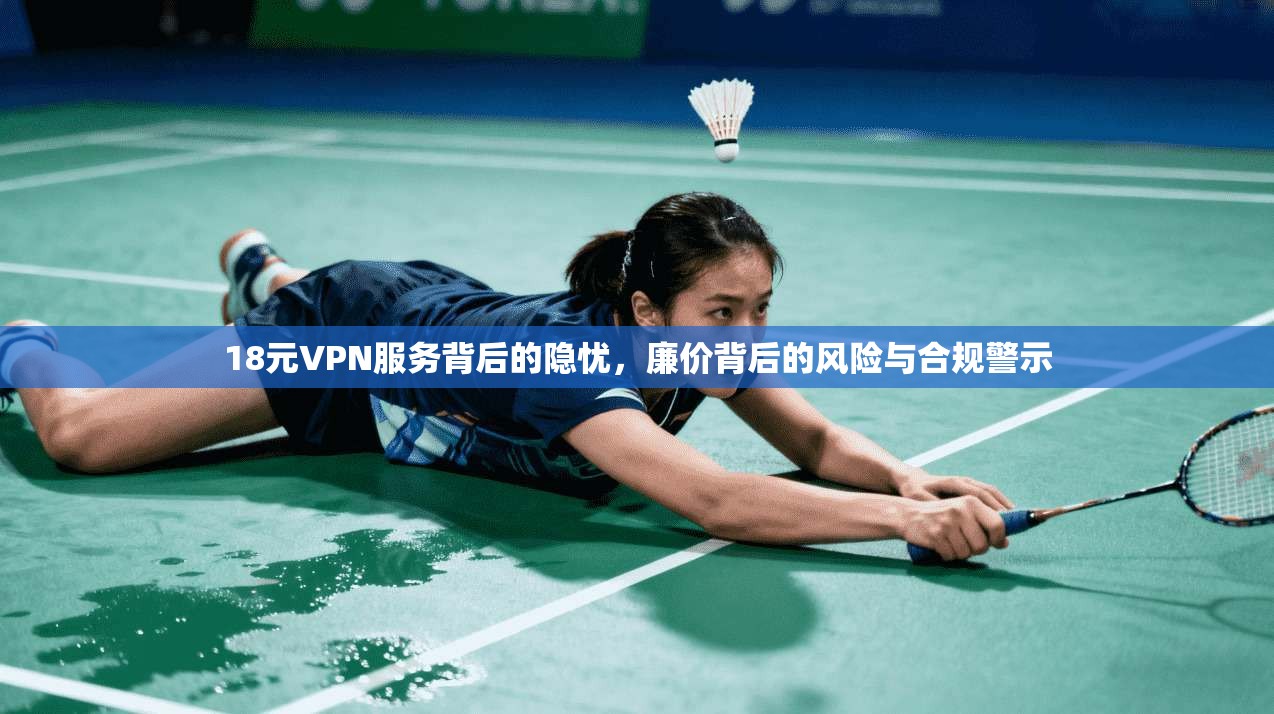 18元VPN服务背后的隐忧，廉价背后的风险与合规警示