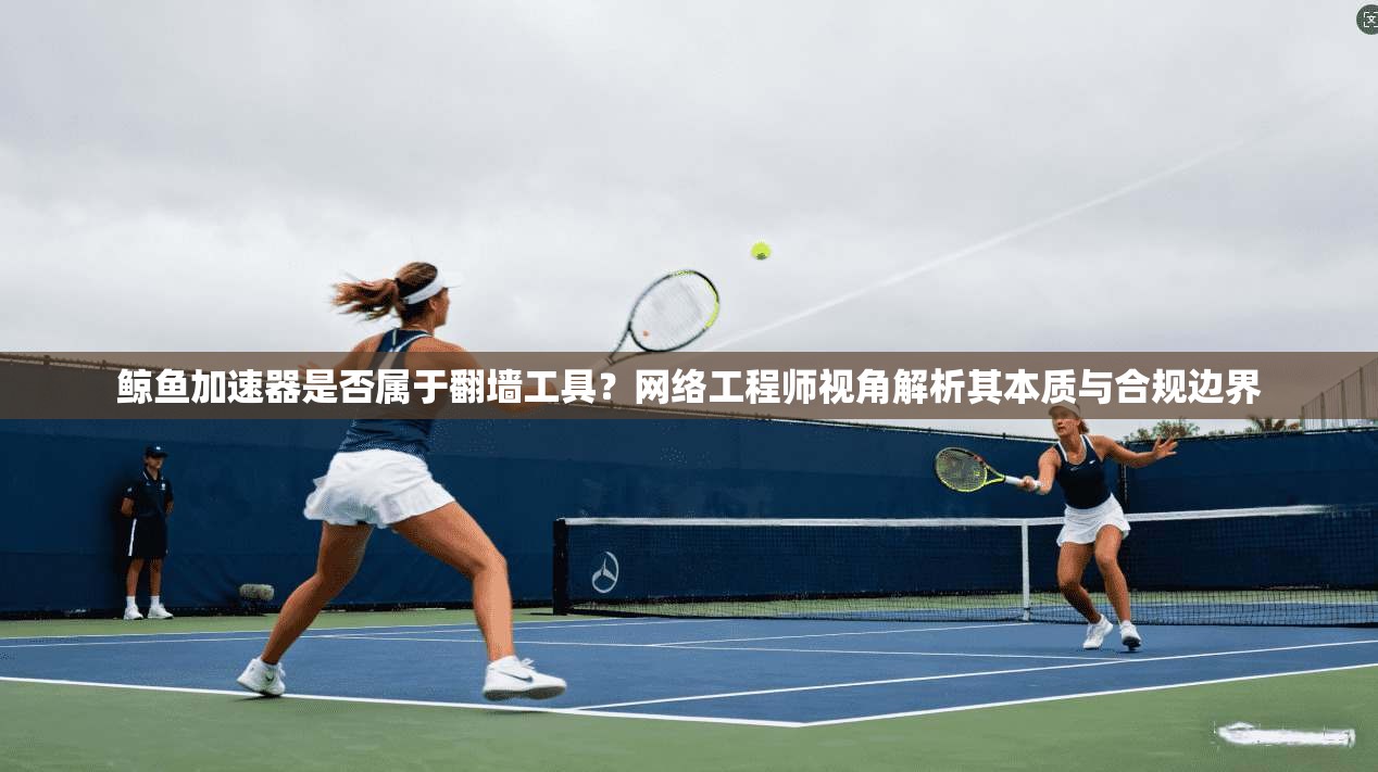 鲸鱼加速器是否属于翻墙工具？网络工程师视角解析其本质与合规边界
