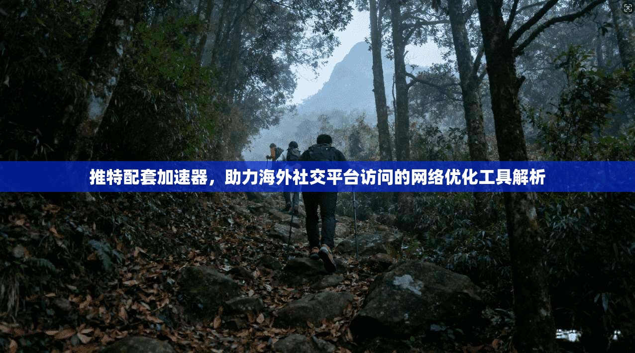 推特配套加速器,助力海外社交平台访问的网络优化工具解析