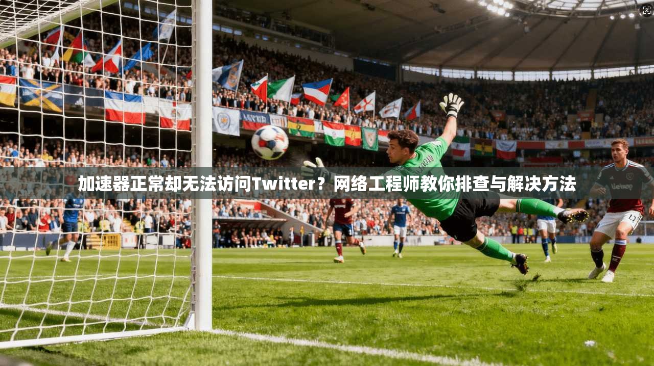 加速器正常却无法访问Twitter？网络工程师教你排查与解决方法