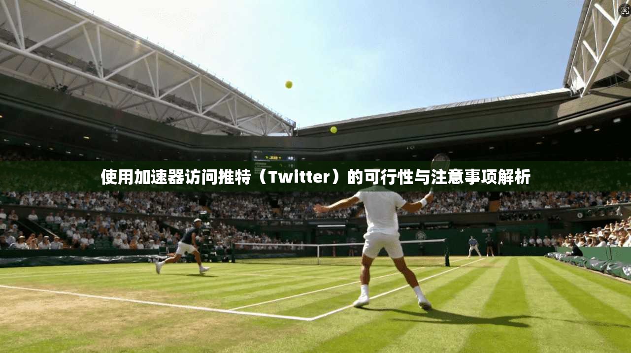使用加速器访问推特(Twitter)的可行性与注意事项解析