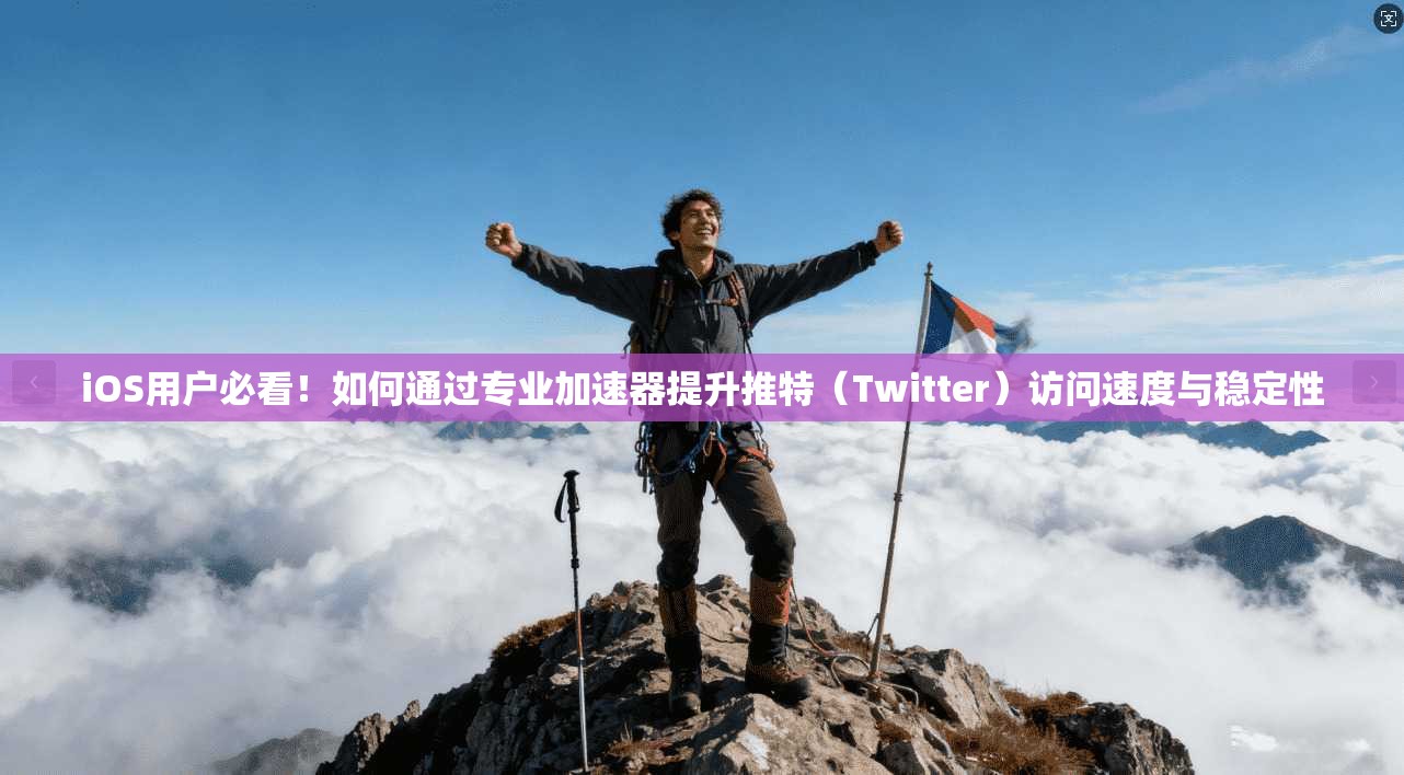 iOS用户必看!如何通过专业加速器提升推特(Twitter)访问速度与稳定性