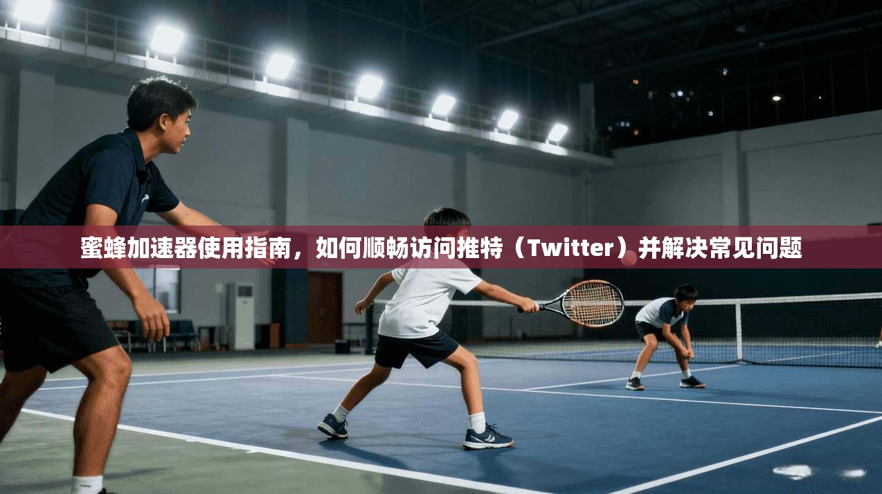蜜蜂加速器使用指南，如何顺畅访问推特（Twitter）并解决常见问题