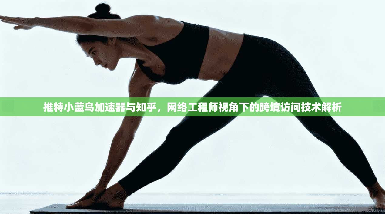 推特小蓝鸟加速器与知乎，网络工程师视角下的跨境访问技术解析