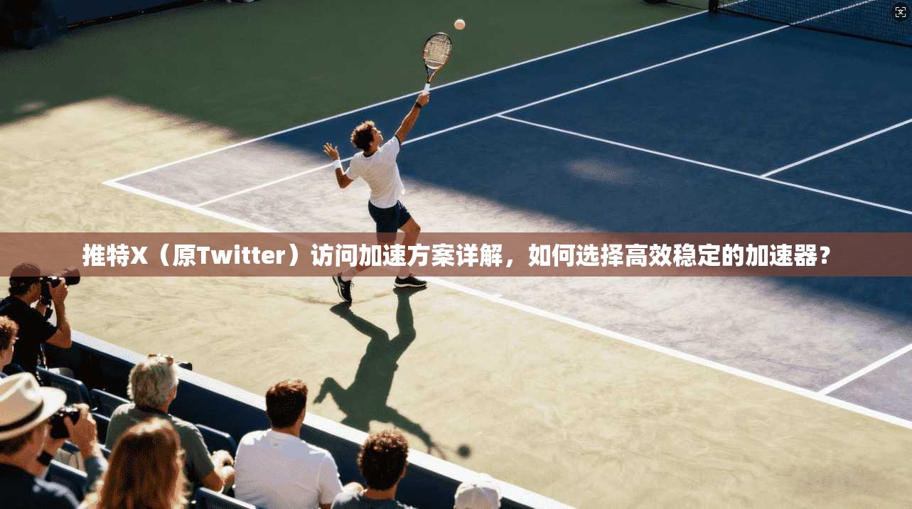 推特X(原Twitter)访问加速方案详解,如何选择高效稳定的加速器?