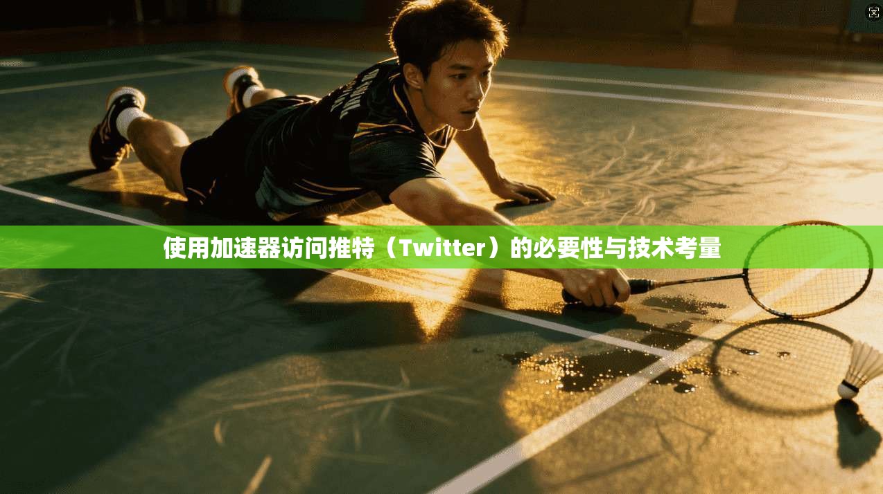 使用加速器访问推特（Twitter）的必要性与技术考量
