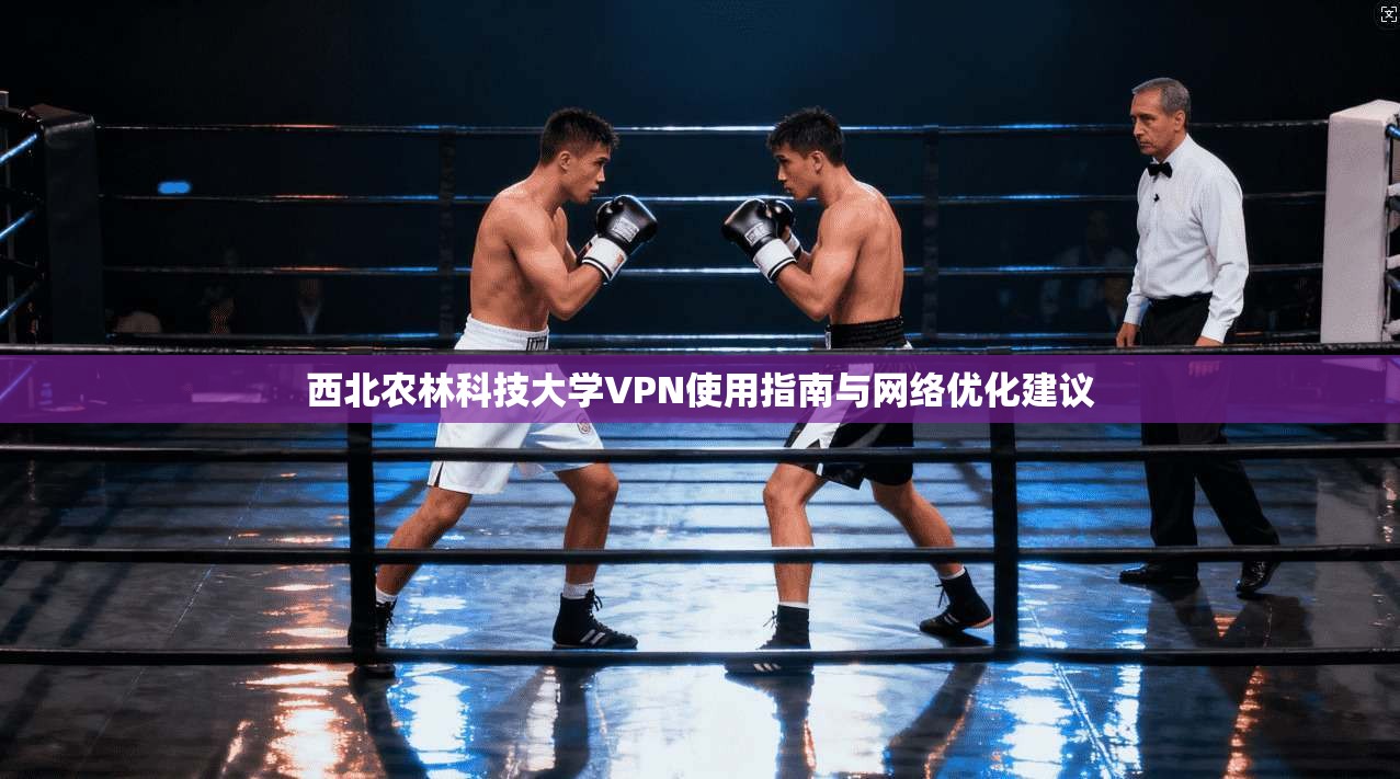 西北农林科技大学VPN使用指南与网络优化建议