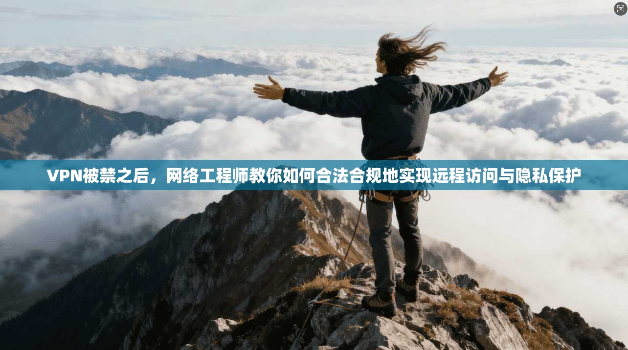 VPN被禁之后，网络工程师教你如何合法合规地实现远程访问与隐私保护