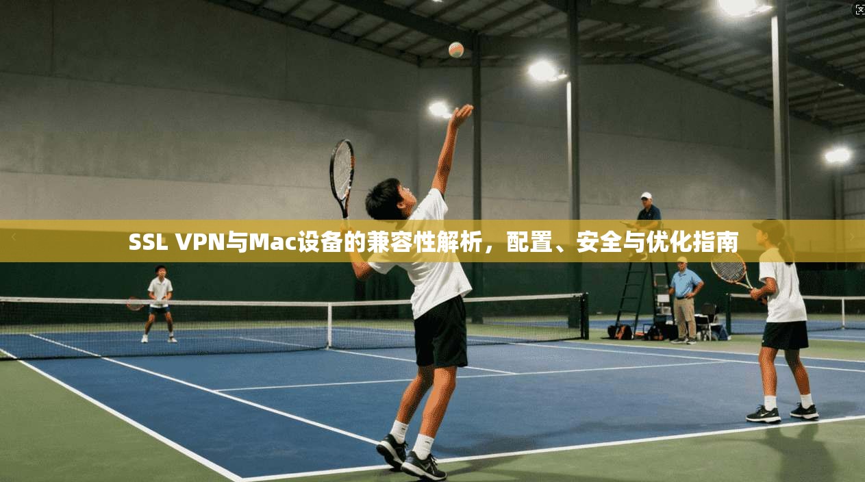 SSL VPN与Mac设备的兼容性解析,配置、安全与优化指南