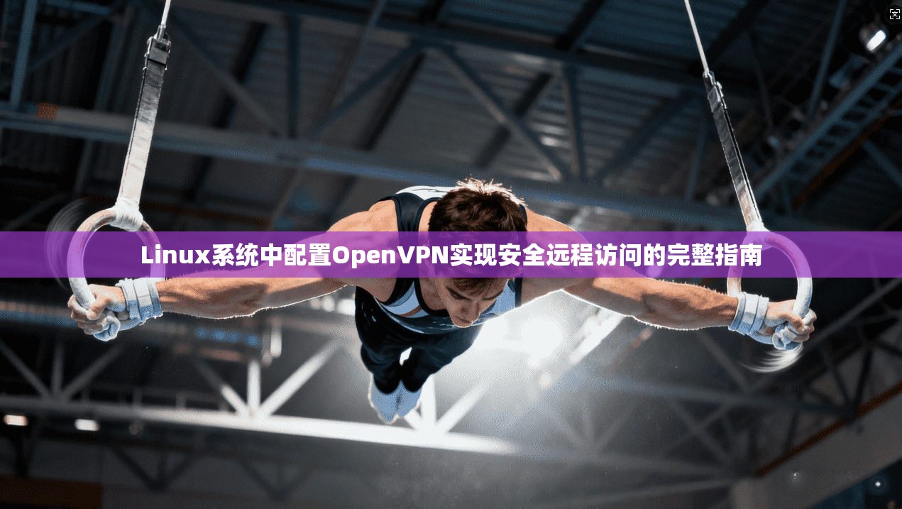 Linux系统中配置OpenVPN实现安全远程访问的完整指南