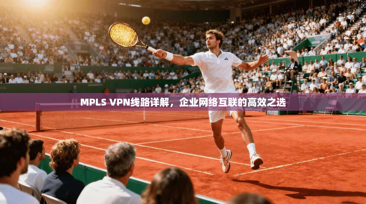 MPLS VPN线路详解,企业网络互联的高效之选