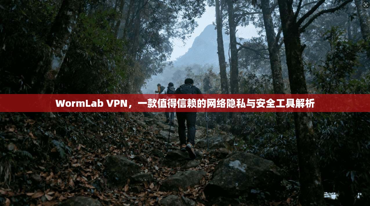 WormLab VPN,一款值得信赖的网络隐私与安全工具解析