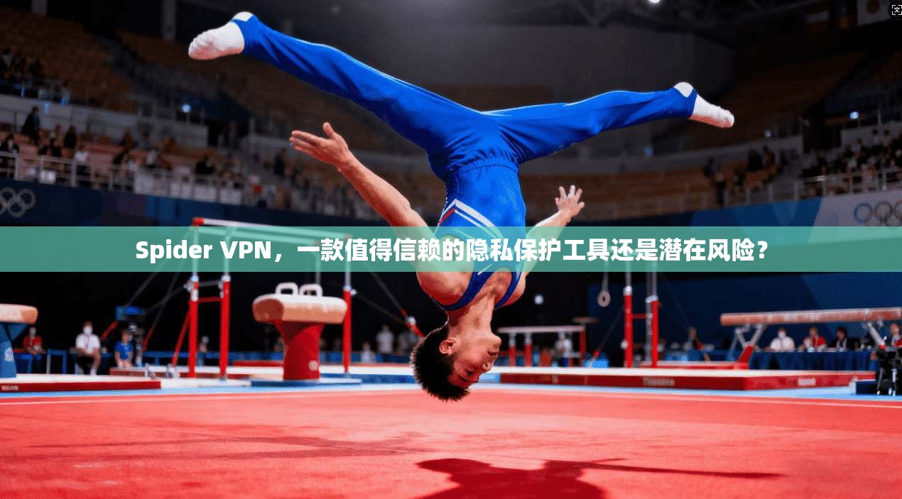 Spider VPN,一款值得信赖的隐私保护工具还是潜在风险?